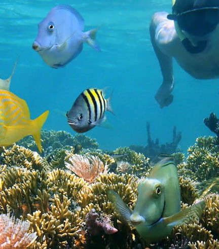 Foto de Tour de aventura por el río Hatiguanico y Guamá