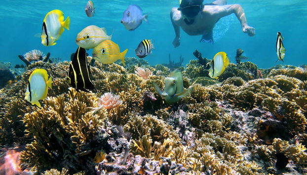 Guama and Hatiguanico River Trip - Foto 3