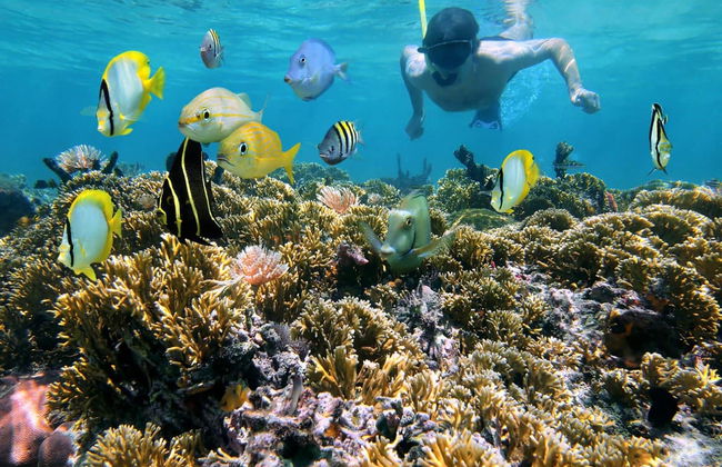 Guama and Hatiguanico River Trip - Photo 3