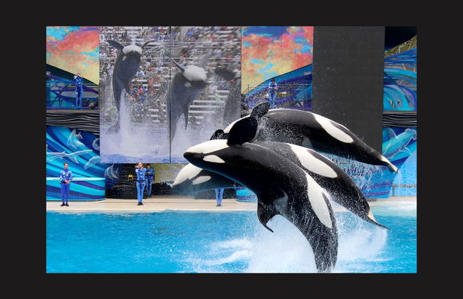 Go City San Diego All-Inclusive Pass - Foto 2