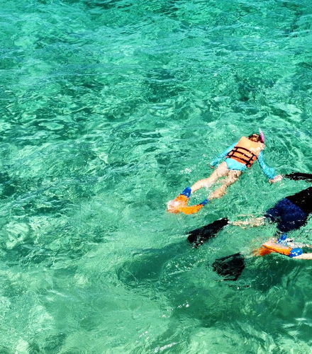 Foto de Snorkel en Los Cabos