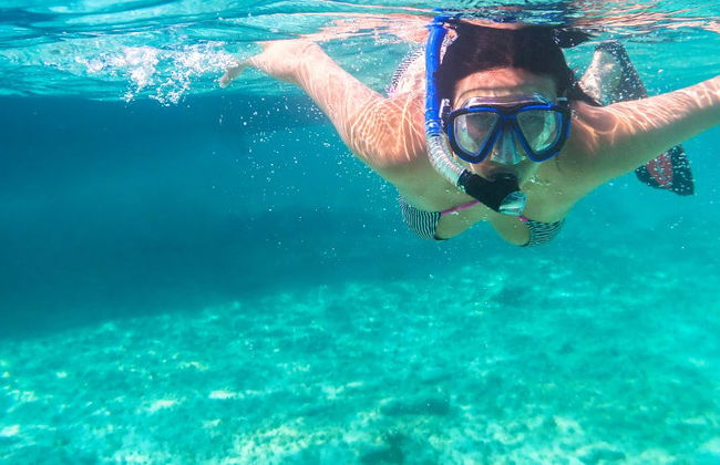 Snorkel en Los Cabos - Foto 7