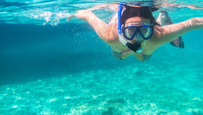 Los Cabos Snorkeling Tour - Foto 1