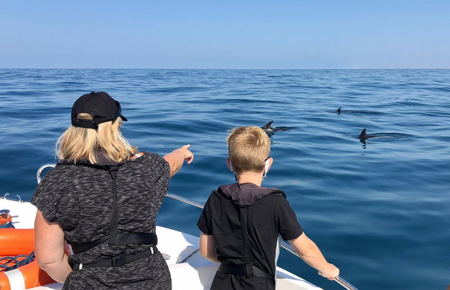 Avvistamento di delfini a Faro - Foto 5