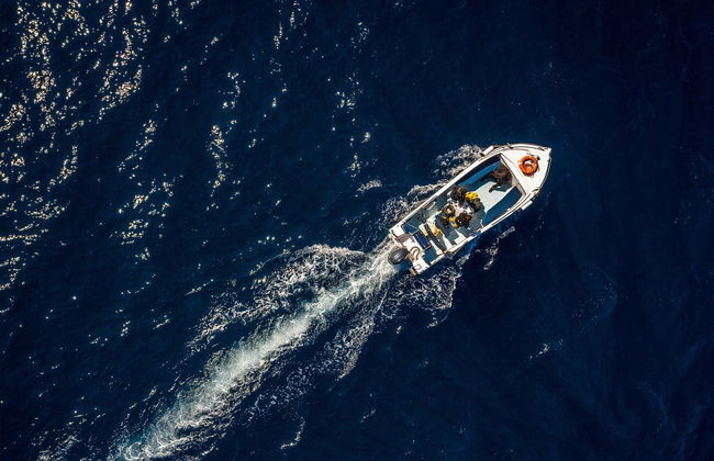 Avvistamento di delfini a Faro - Foto 8