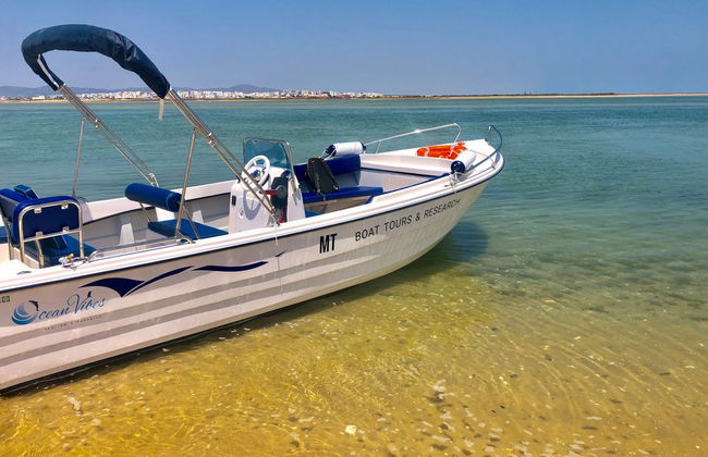 Avvistamento di delfini a Faro - Foto 9