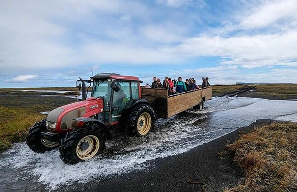 Avistamiento de frailecillos en Ingólfshöfði - Foto 2