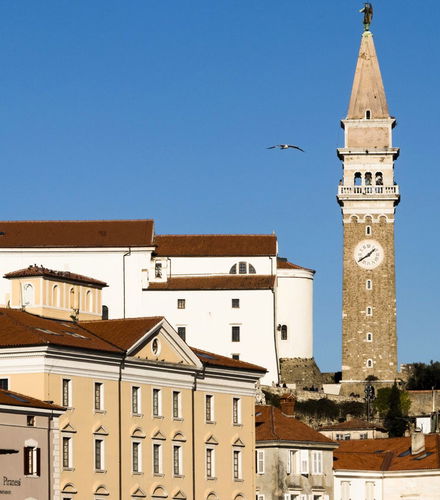 Foto de Excursión a Piran e Izola