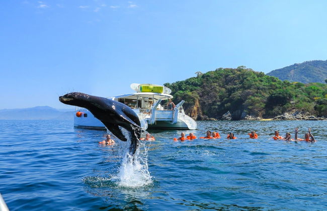 Balade en voilier dans la Baie de Banderas - Photo 6