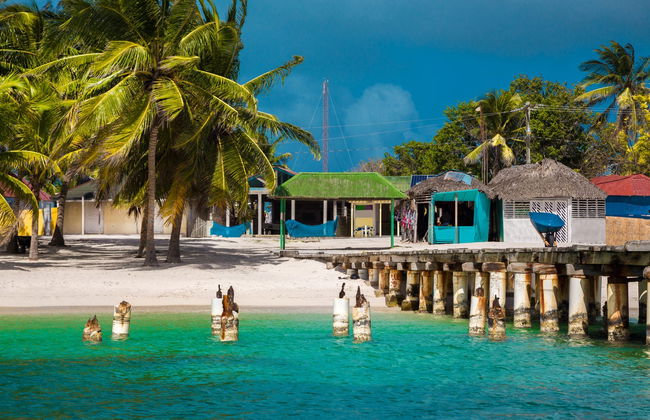 Tour por las playas de isla Saona - Foto 1