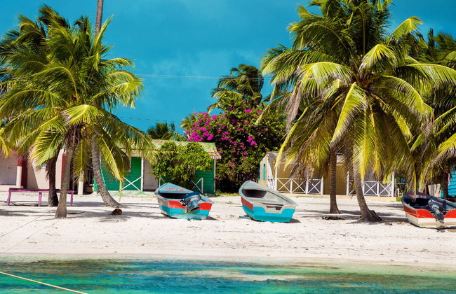 Tour por las playas de isla Saona - Foto 7