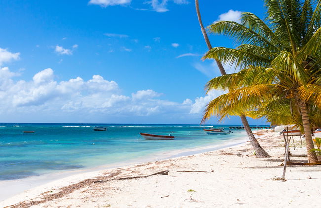 Visite des plages de l'Île Saona - Photo 2