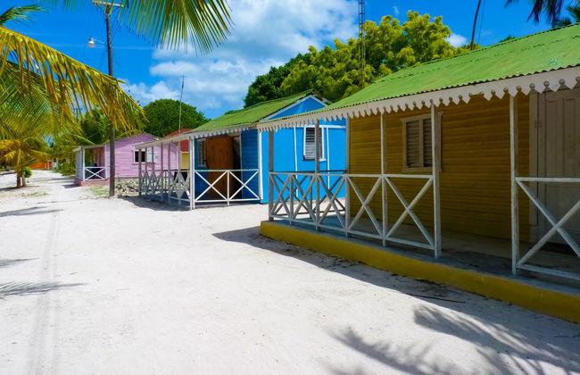 Tour por las playas de isla Saona - Foto 6