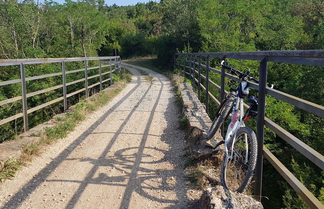 Tour della Parenzana in bici - Foto 3