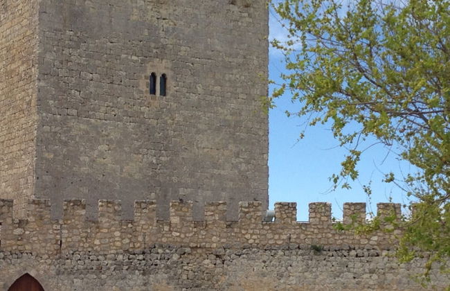 Entrada al castillo de Tiedra - Foto 8