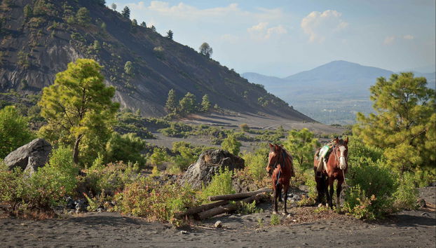 Excursión privada al volcán Paricutín y Angahuan - Foto 3