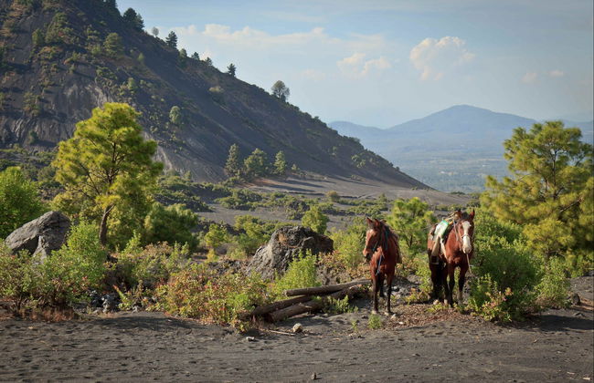 Excursión privada al volcán Paricutín y Angahuan - Foto 3