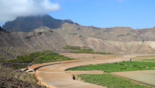 Tour en tuk tuk por Costa Adeje - Foto 2