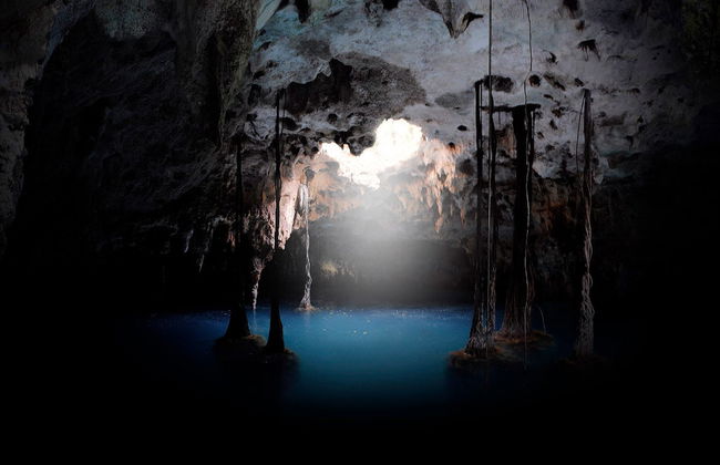 Xenotes Day Trip - Foto 2