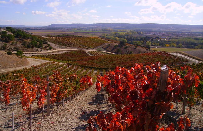 Quinta Sardonia Winery Visit - Photo 3