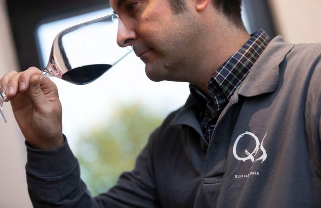 Quinta Sardonia Winery Visit - Photo 1