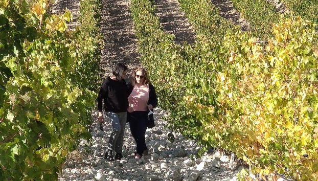 Visita a Quinta Sardonia - Foto 4