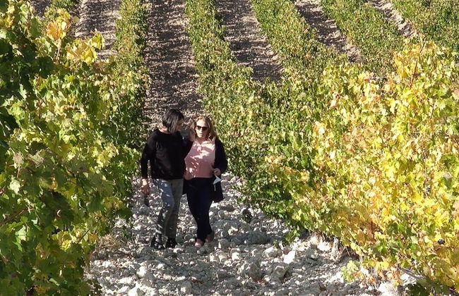 Quinta Sardonia Winery Visit - Photo 4
