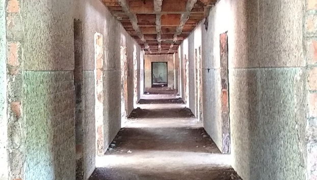 Visita guiada privada por Armero - Foto 3