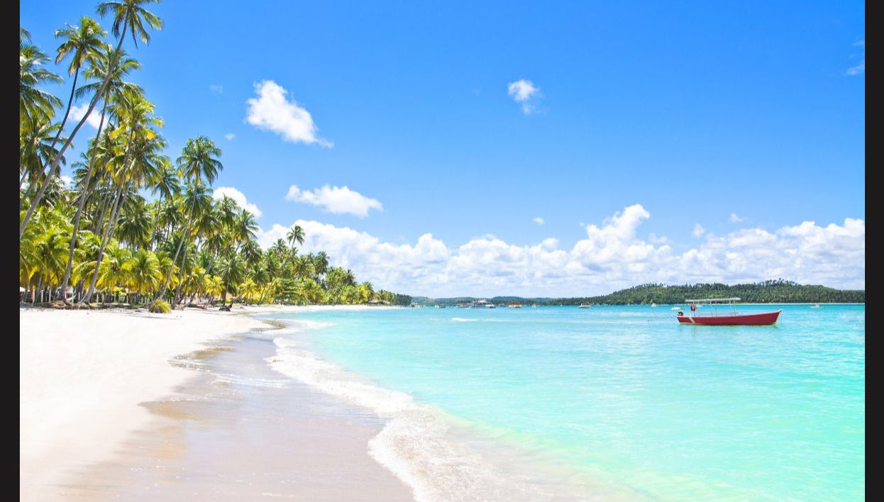 Porto de Galinhas Private Day Trips - Foto 1