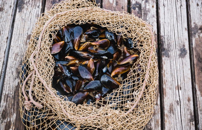 Giro in barca sulla Ría di Arousa + Degustazione di cozze - Foto 3