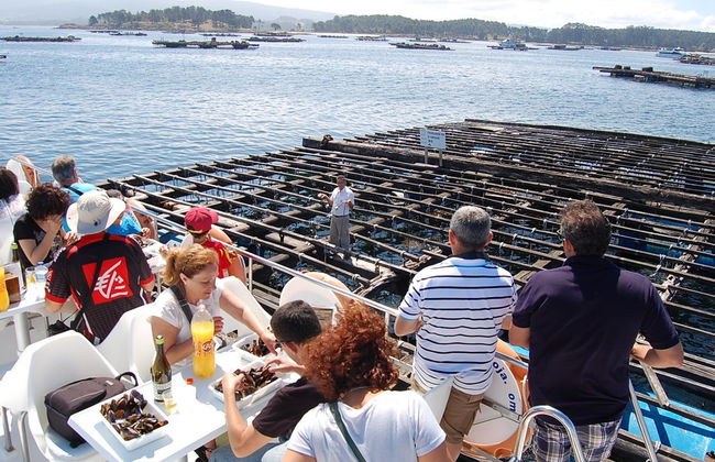 Passeio de barco pela ria + Degustação de mexilhões - Foto 3