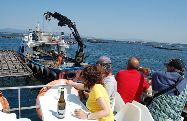 Passeio de barco pela ria + Degustação de mexilhões - Foto 6
