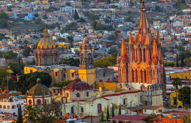 Vineyard Tour + Wine Tasting - Photo 7