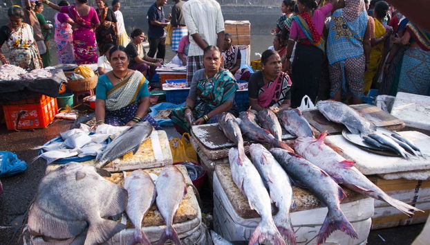 Mumbai by Dawn Private Tour - Photo 3