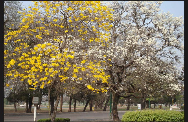 Tour panorámico por San Miguel de Tucumán - Foto 4