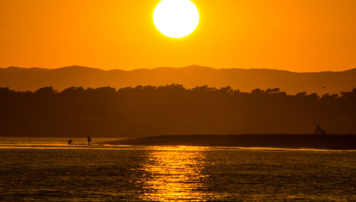 Balade en bateau le long de l'estuaire d'Isla Cristina - Photo 1