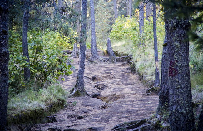 La Malinche National Park Trek - Photo 7