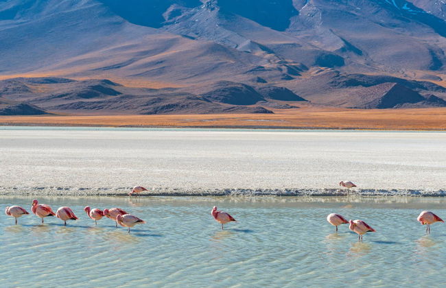 Uyuni & Death Road 5 Day Trip - Photo 7