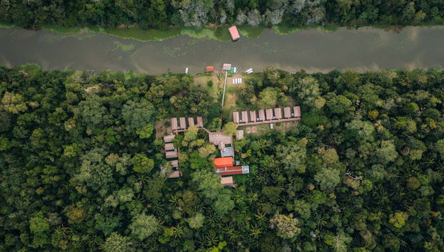 Yanayacu River 3, 4 or 5-Day Tour - Photo 4