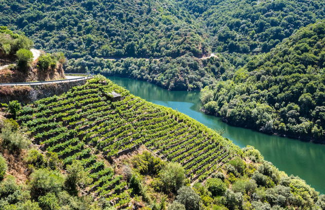 Excursión a la Ribeira Sacra - Foto 1