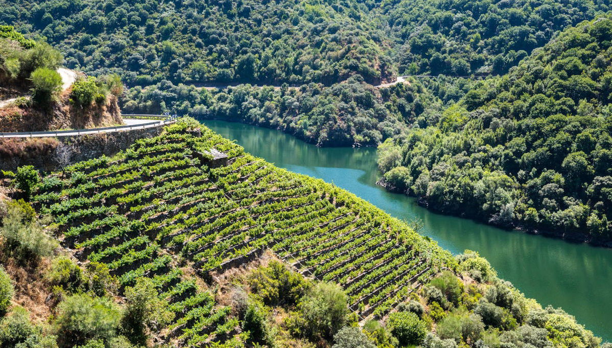 Excursión a la Ribeira Sacra - Foto 1