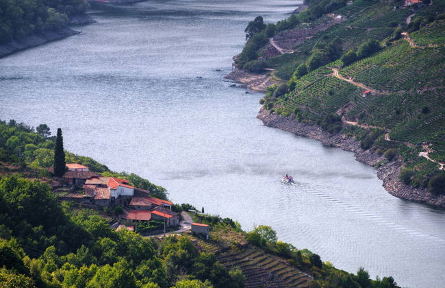 Excursión a la Ribeira Sacra - Foto 3
