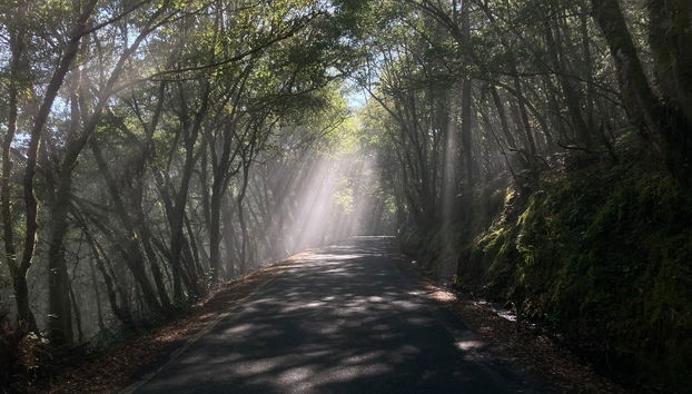 Excursión a la Ribeira Sacra - Foto 5