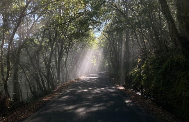 Excursión a la Ribeira Sacra - Foto 2
