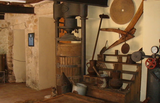 Visita à adega Celler Cal Menescal - Foto 2