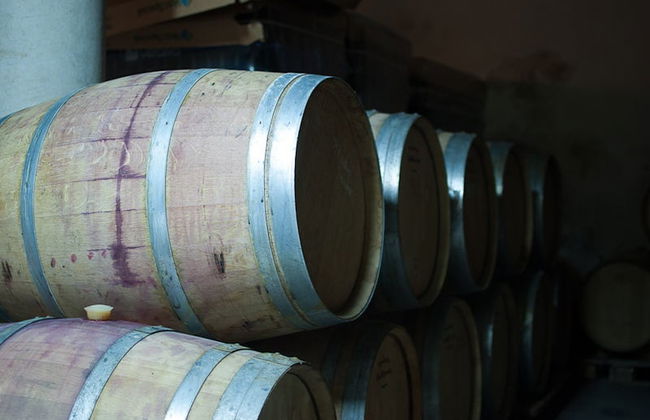 Visita à adega Celler Cal Menescal - Foto 1