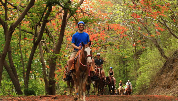 Diamante Eco Park Horseback Ride - Foto 2