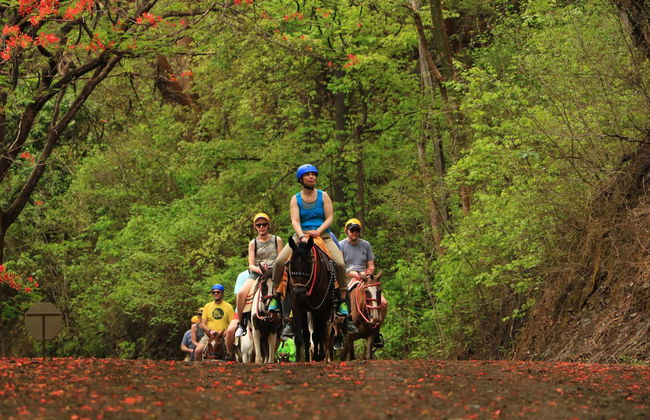 Diamante Eco Park Horseback Ride - Photo 6