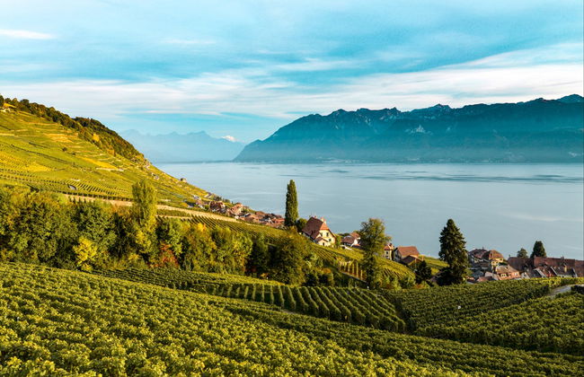 Excursion à Montreux - Photo 5