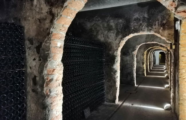 Excursión a la región de Bairrada - Foto 3